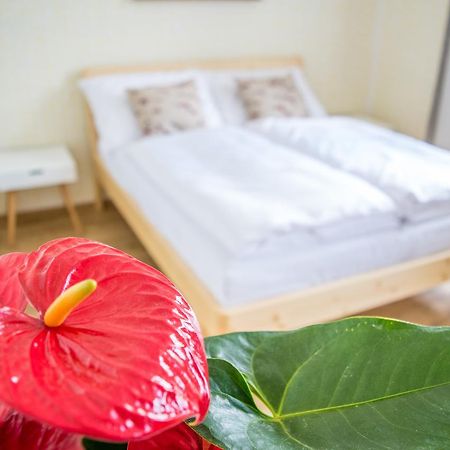 U Cmelaku Otel Červená Voda Dış mekan fotoğraf